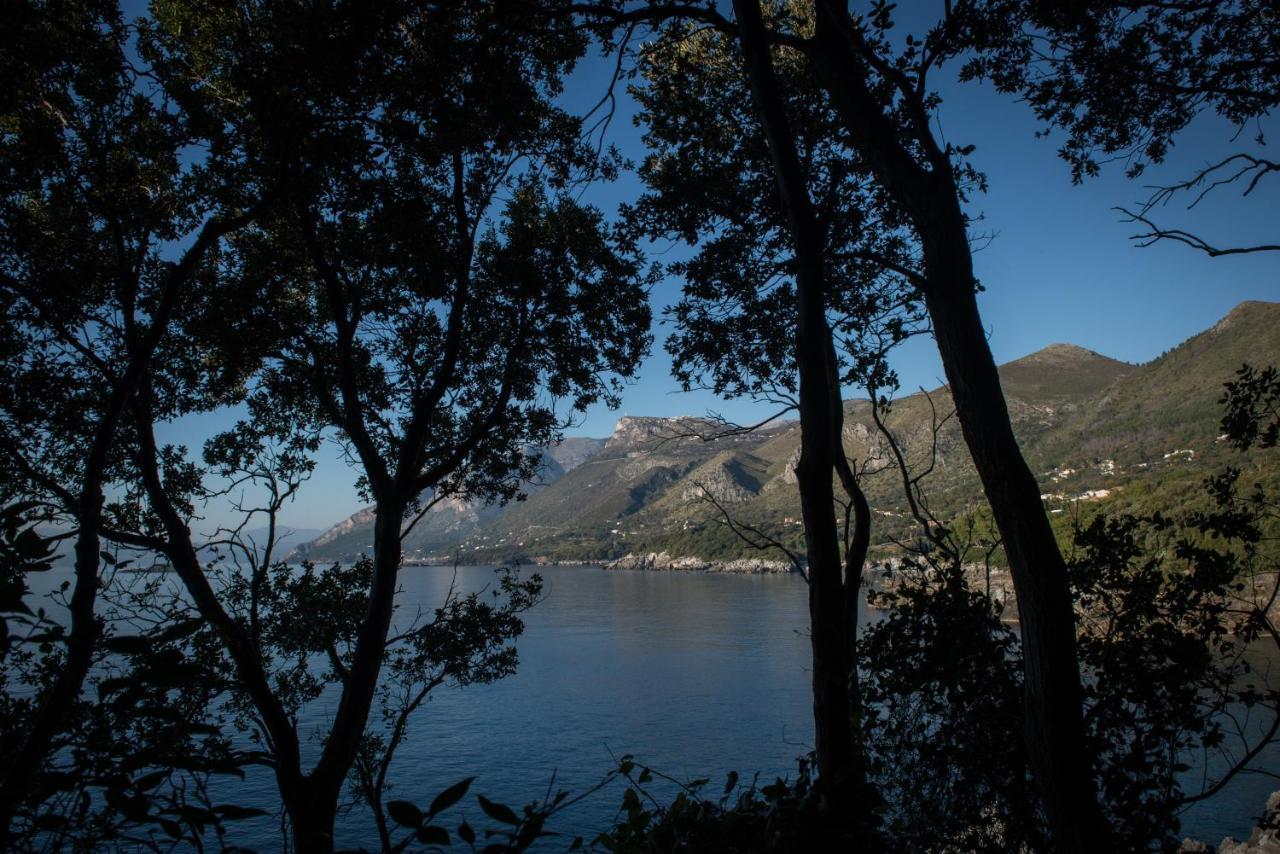 Hotel Amaranto Maratea Zewnętrze zdjęcie